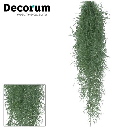 Tillandsia Usneoides L (decorum)