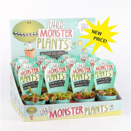 Little Monster Plants Dionaea In Displaydoos