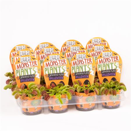Little Monster Plants Dionaea Halloween
