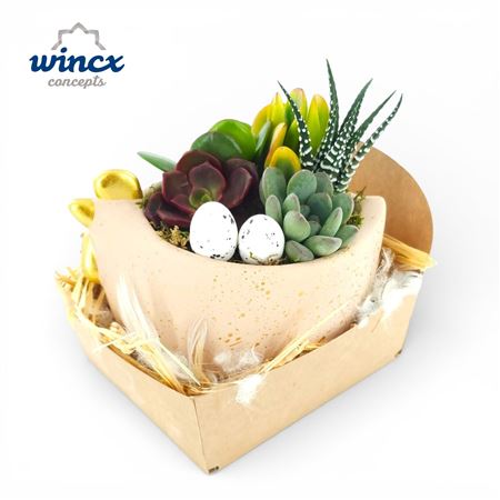 Concepts® - Chickies Succulent Concepts®