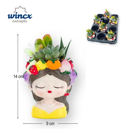 Concepts® - Tutti Frutti Succulents