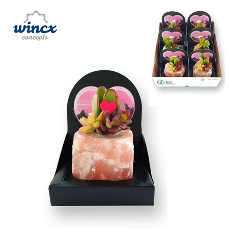 Himalayan Salt Crystal
