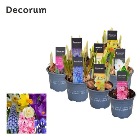 Bulb Mix (decorum)