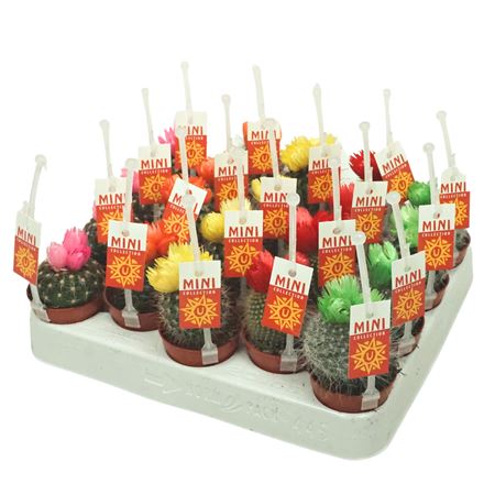 Cactus Fake Flower Sticker