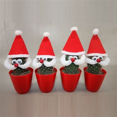 Человек Икс Кактус