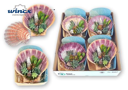 Concepts® - Uniqueshells 'pecten' (xl) Concepts®