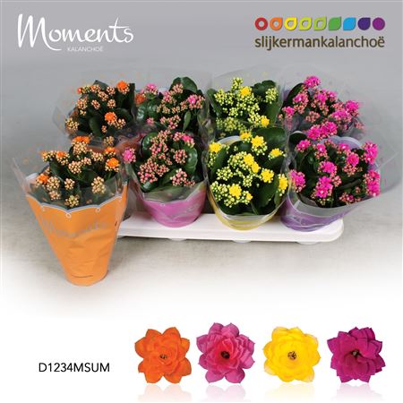 Kal Cal Moments Mix