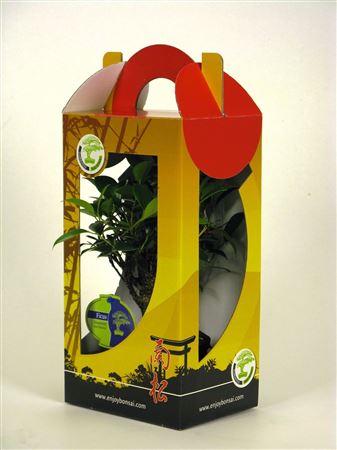 Bonsai Mix Wit Chinese Box