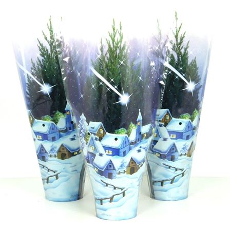 Juniperus Chinensis 'stricta' Blauwe Hoes