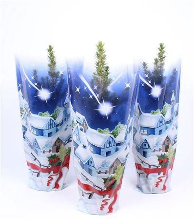 Picea Glauca Conica Blue Sleeve