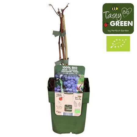 Витис Вин Боскоп Глори Био