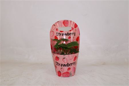 Fragaria Beltran Potcover
