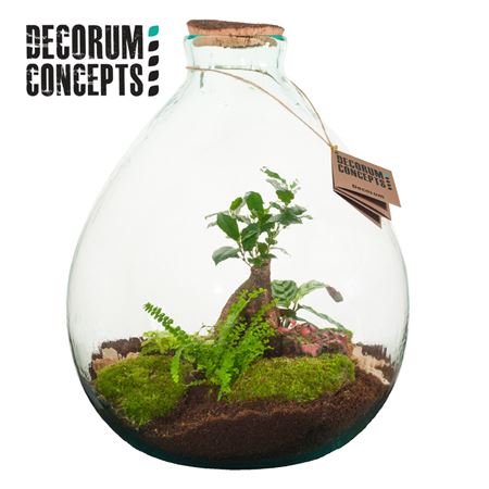 Terrarium Saturnus (decorum Concepts)