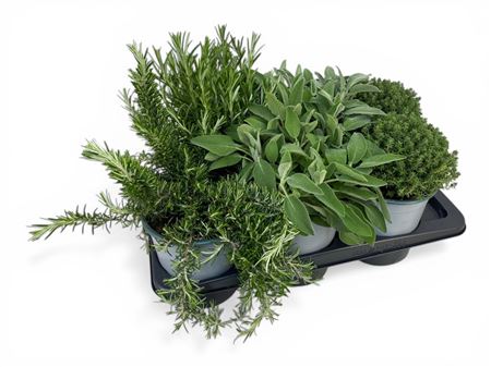 Herb Mix