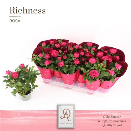 Potroos Donker Roze P10,5 Dolc'amore® Metallic