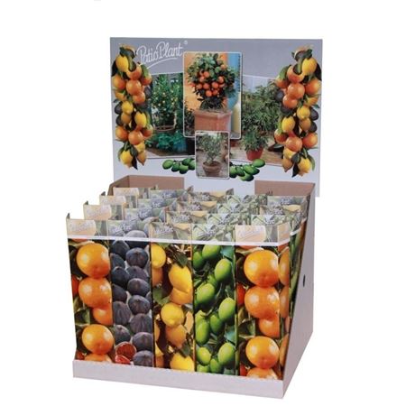 Растительная смесь Средиземноморья