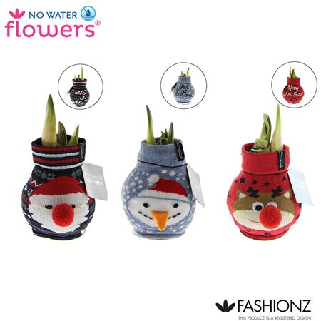 Hipp No Water Flowers(r) Fashionz Xmas