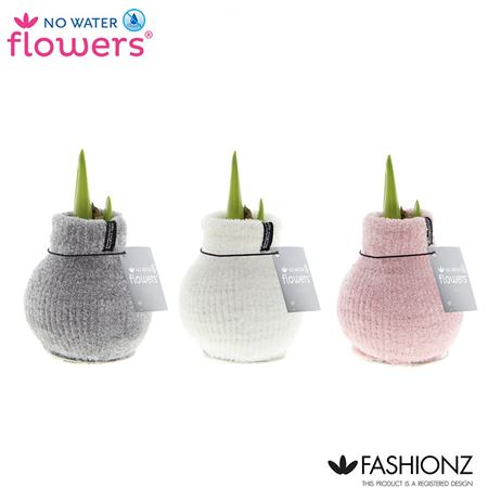 Hipp Wax Fashion Cozy Mix