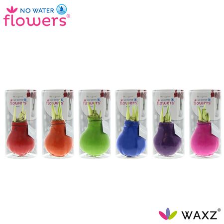 Hipp Wax Happy Mix Packed