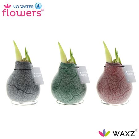 Hipp Wax Marble Mix
