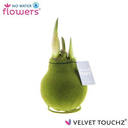 Hipp Wax Velvet Moss Green