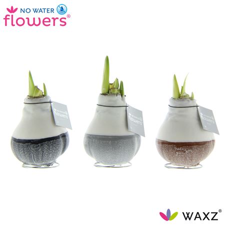 Hipp Wax Dipz Natural Mix