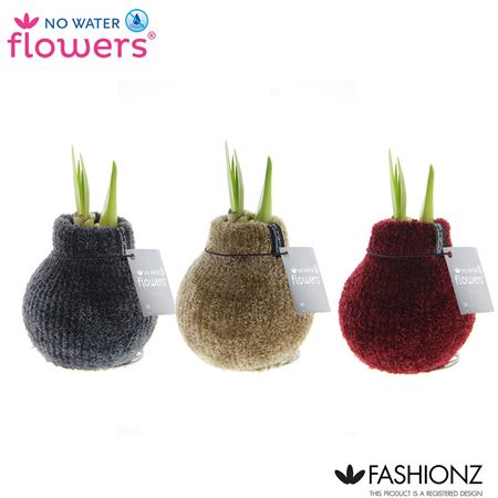 Hipp Wax Fashion Cozy Teddy Mix