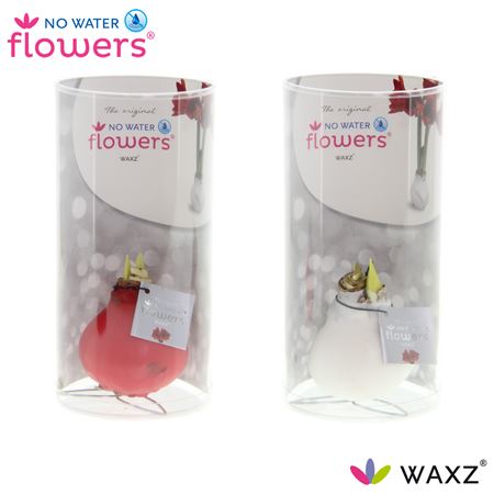 Hipp Wax Kolibri Mix In Tube