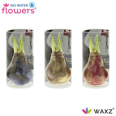 Hipp Wax Universe Jupiter Mix In Tube