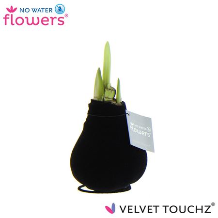 Hipp Wax Velvet Black