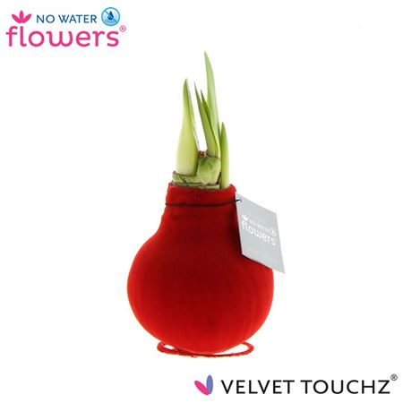Hipp Wax Velvet Red