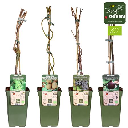 Fruit Mix Climbing Bio